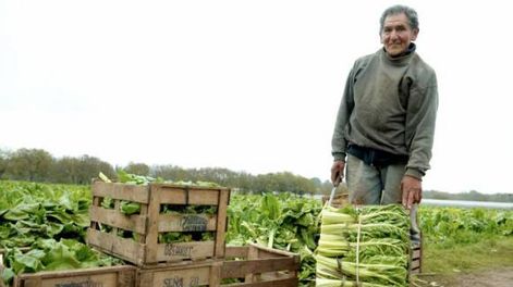 Línea de crédito a cooperativas agropecuarias por $600 millones