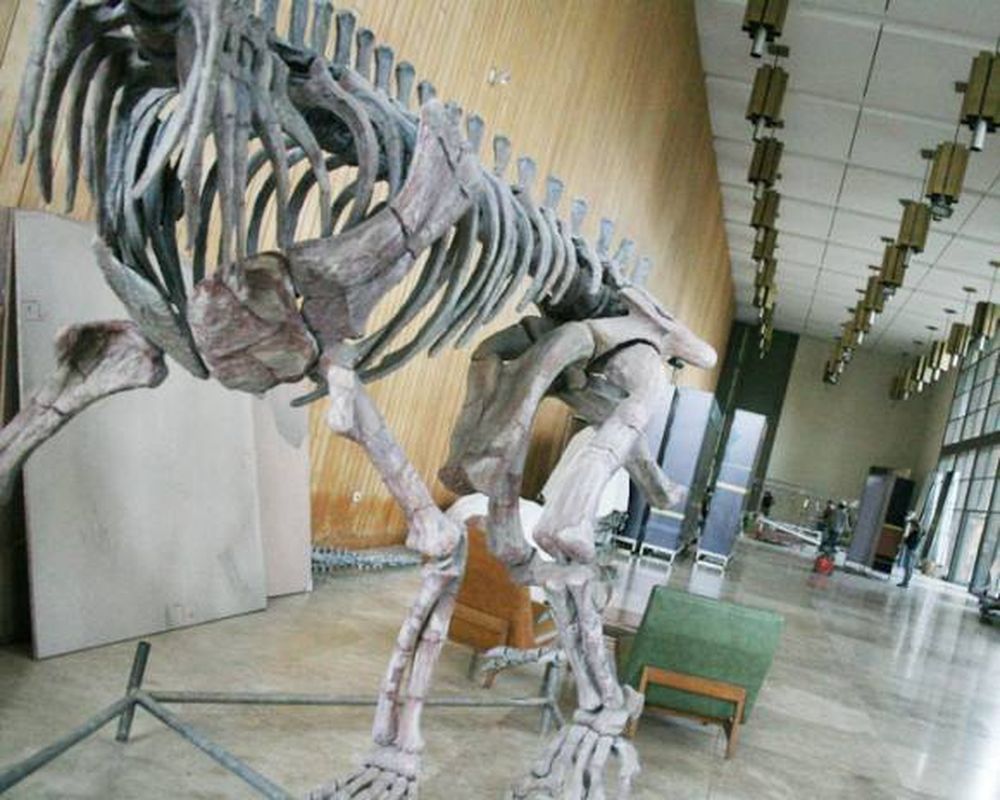 El Auditorio está lleno de dinosaurios