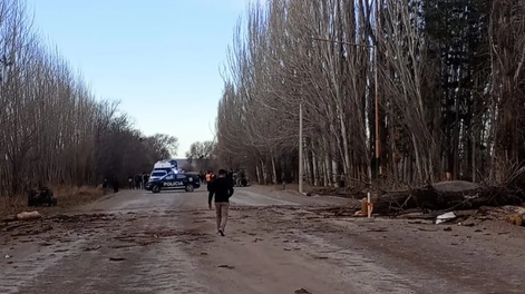 un arbol cayo sobre una camioneta y provoco la muerte de dos personas