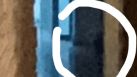 Filmó al fantasma de su perra muerta hace tiempo: “Fue a visitarme”