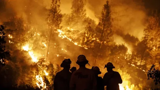 Ya son 48.000 las hectáreas arrasadas por los incendios en Córdoba
