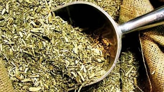 Argentina exportará yerba mate a la India