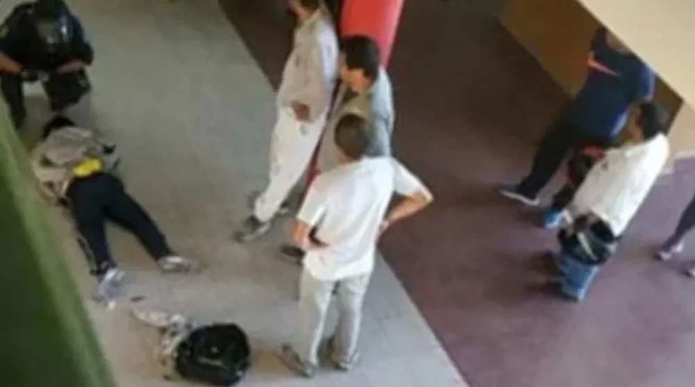 No aprobó una materia, volvió al colegio con un cuchillo y atacó a la vicedirectora