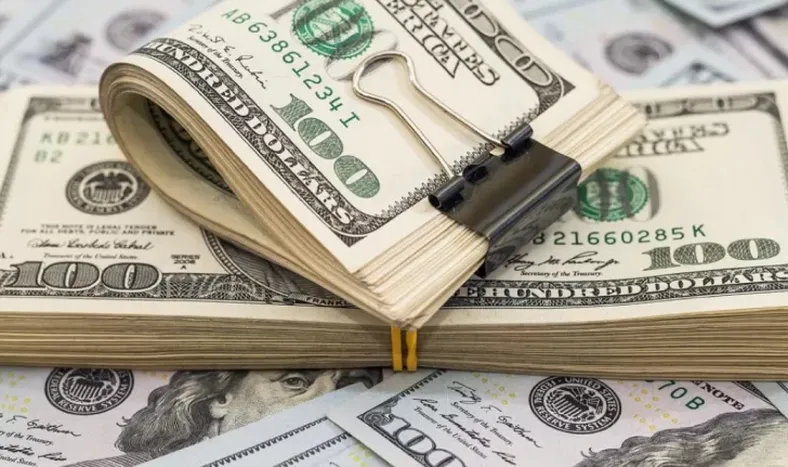 El dólar blue cerró con una suba de $5 y en San Juan llegó a operar por encima de $500