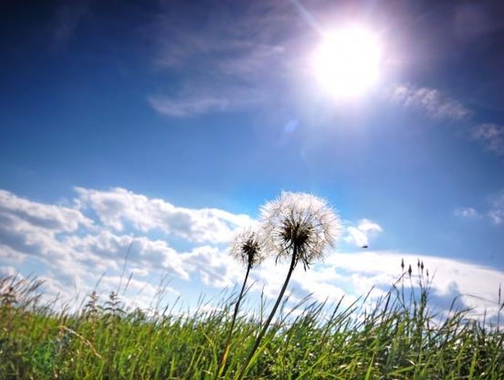 Sábado soleado y con máxima de 25 grados en San Juan