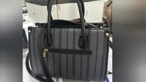 Cae preso por intentar robar una cartera