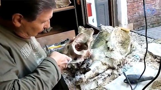 Descubren un centenar de fósiles de animales prehistóricos en San Pedro