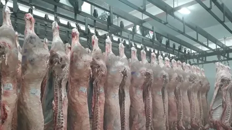 Diario de Cuyo | DCC100325 002F07 728x563.webp