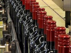 Venta de vinos en la Argentina. Venta de vinos en la Argentina.