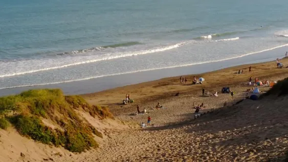 Hallan componentes de petróleo cancerígenos en algunas playas de Mar del Plata