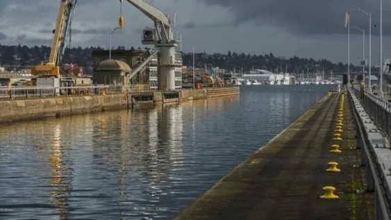 Alerta por una ameba ‘comecerebros’ en el suministro de agua de 8 ciudades de EEUU