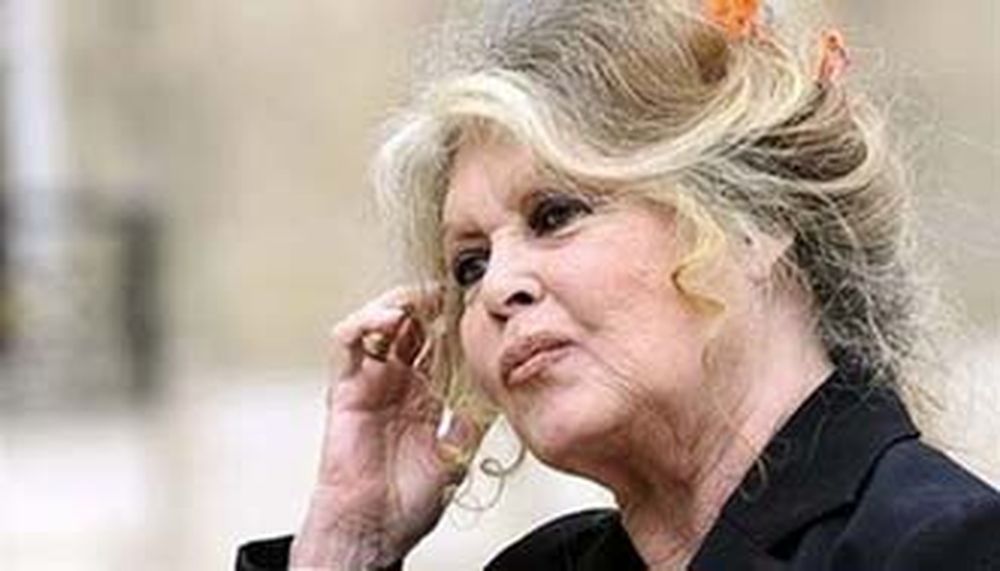 Brigitte, ¿presidenta?