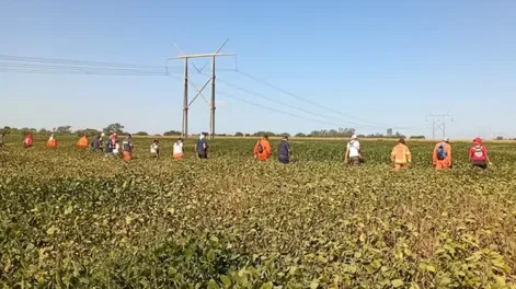 EL NENE SE PERDIÓ el sábado. Ayer lo buscaron en plantaciones de soja y maíz.