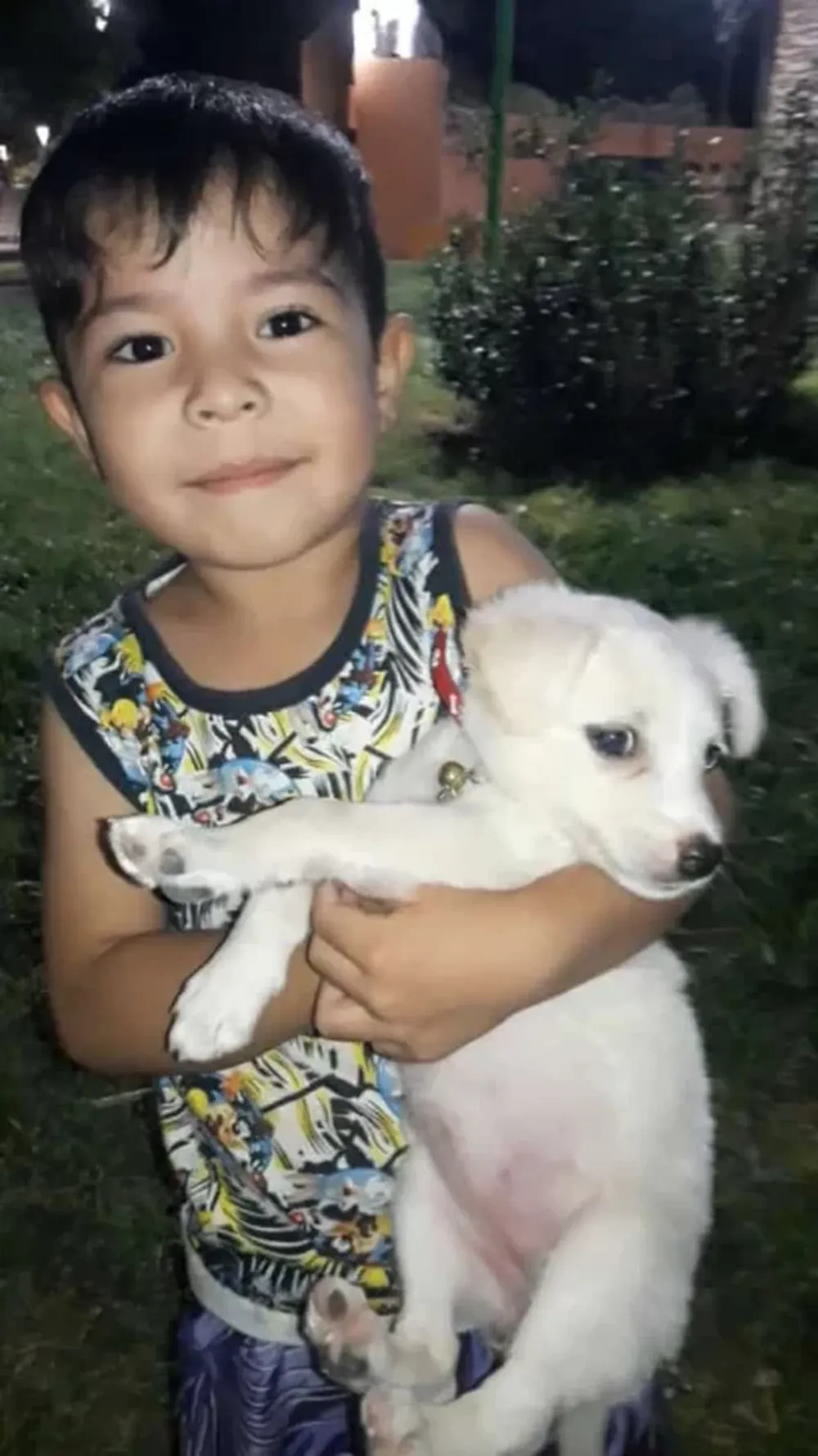 Los nuevos cambios que traerán las actualizaciones de WhatsApp