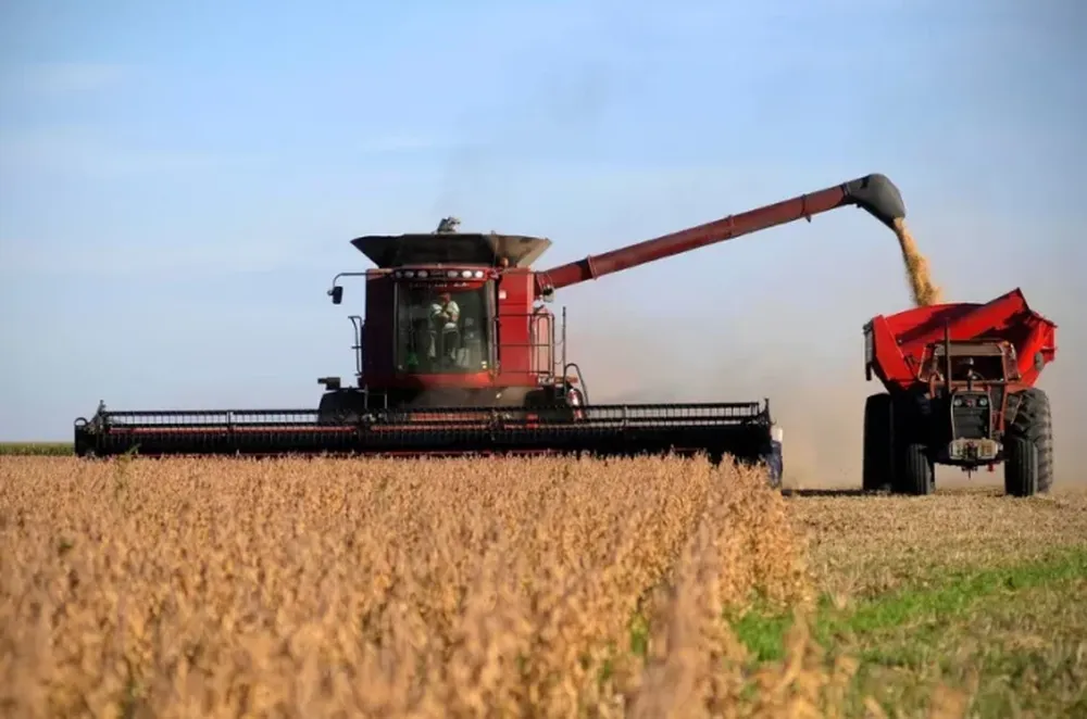 Nuevo tipo de cambio para que los productores de soja vendan cosecha