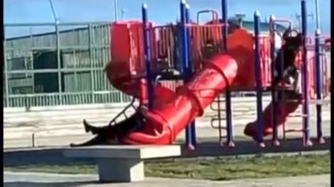 El presidente de Chile quedó atrapado en el tobogán de una plaza