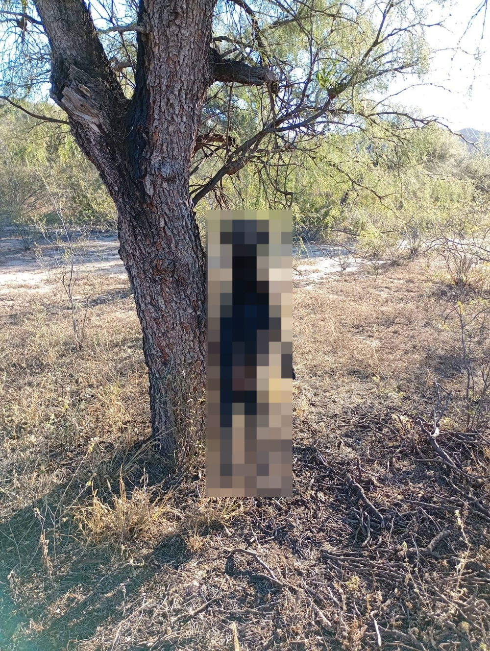 Denunciaron un aberrante caso de maltrato animal.