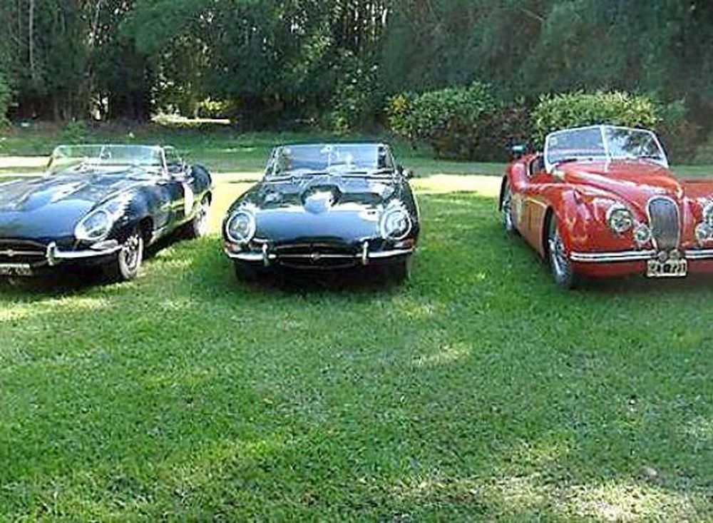 Una vidriera para admirar autos de lujo y de colección