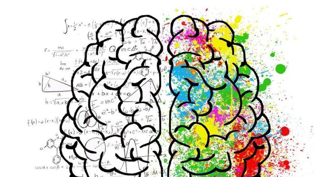 Hábitos cotidianos ayudan a fortalecer el cerebro