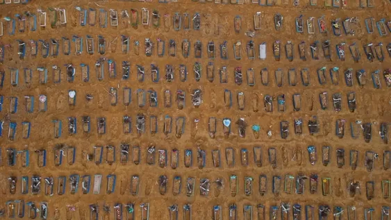 Brasil: talaron un bosque tropical para abrir cientos de tumbas