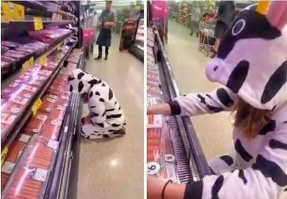 Disfrazada de vaca lloró frente a góndola de carne