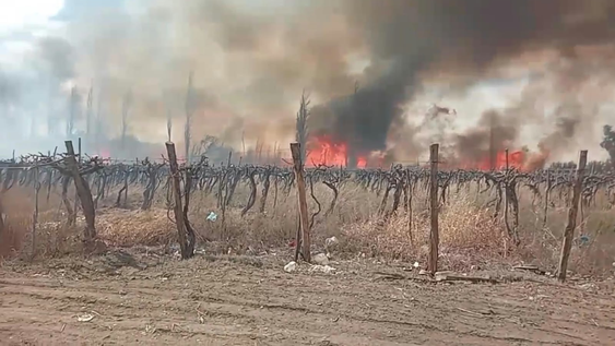 Incendio de parrales.