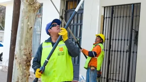 Arrancan nuevos trabajos de arbolado público en Capital.