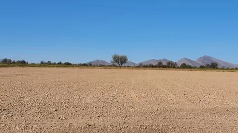 Esfuerzo y dedicación