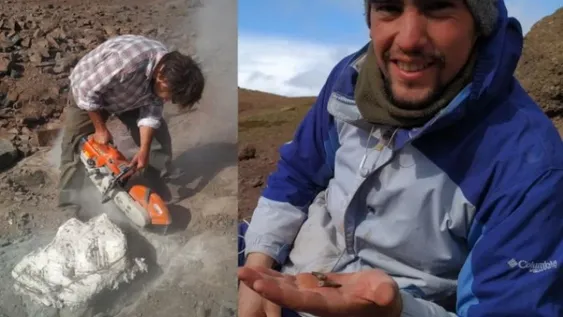 Sorpresa por el hallazgo de un gigantesco dinosaurio carnívoro de 70 millones de años