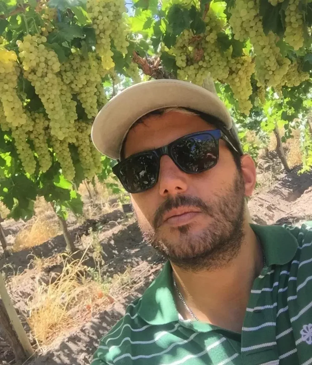 Reinvertir en los viñedos es el buen consejo al productor