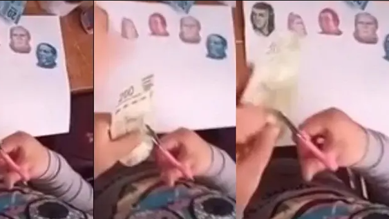 La tarea más cara: una niña recortó próceres de los billetes para un trabajo práctico