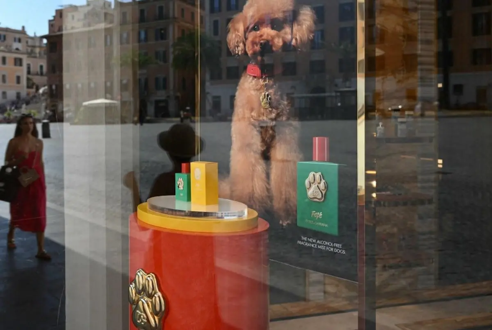 perfume-fefe-perros_8224692_20240808081548