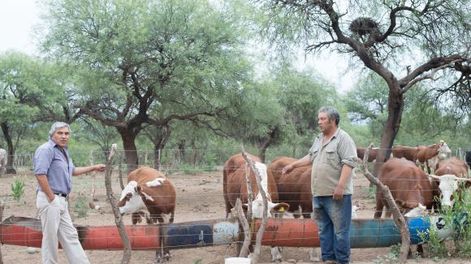 Preservación del bosque nativo y ganadería con rentabilidad