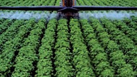 Jornada a campo sobre pulverizadoras