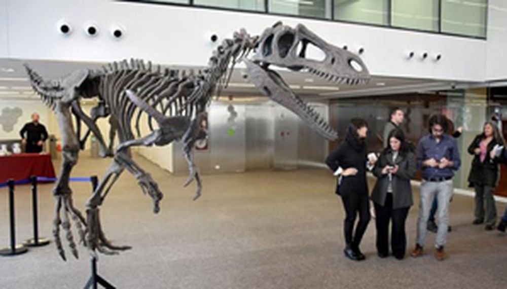 Hallaron restos de un nuevo dinosaurio en la Patagonia