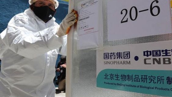 Avalan el uso de la vacuna china Sinopharm en los mayores de 60