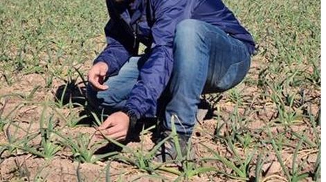 Timac Agro, la empresa con más ingenieros agrónomos en el país