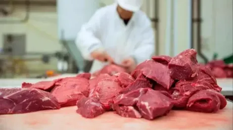 La carne bobina fue reemplazada por otros tipos de carne.
