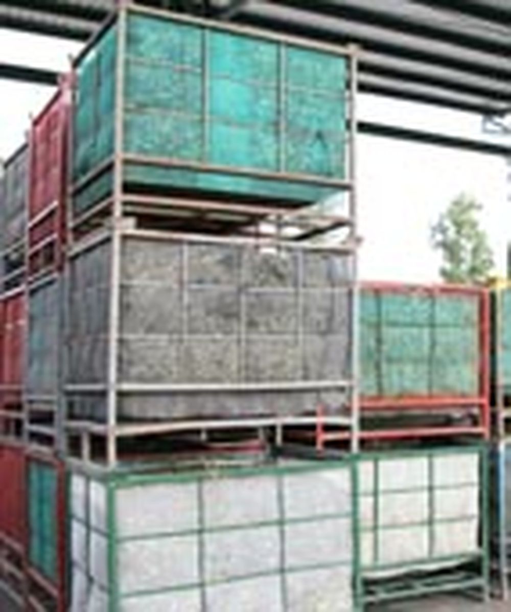 “La mayor cosecha olivícola de las 4 últimas en la Argentina”