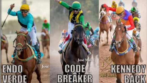 EL ZAINO ganador del último Dupuy, en San Luis, encabeza un trío de candidatos a la victoria final.