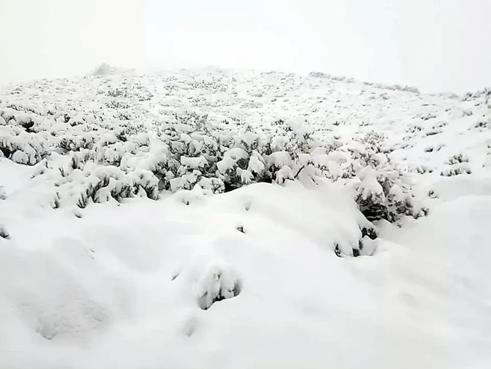 Nevadas: seguimos teniendo ciclo hídrico seco