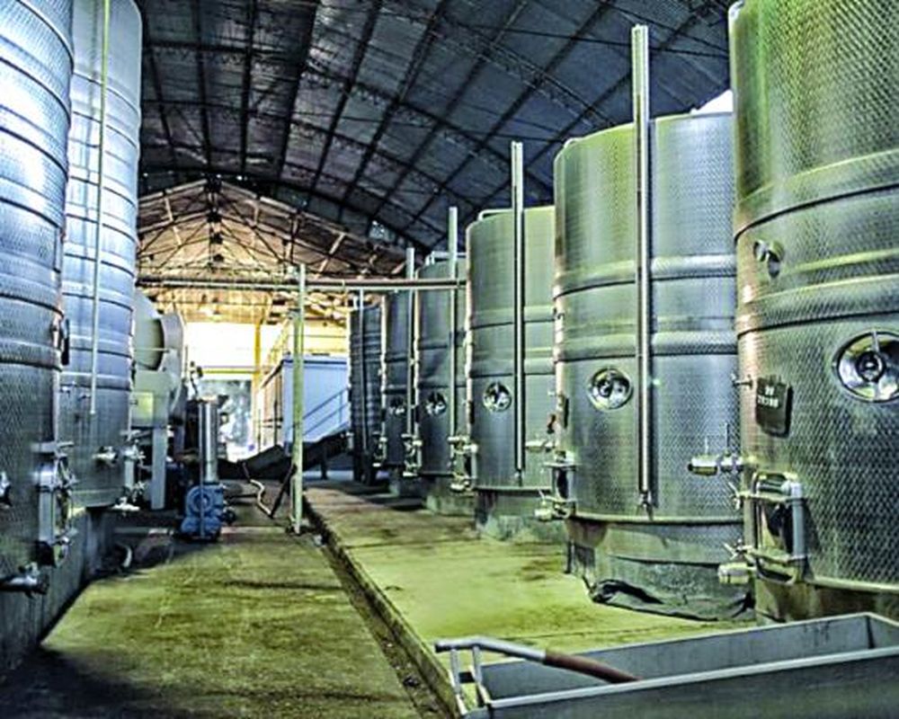 Nueva bodega familiar nace en el departamento San Martín