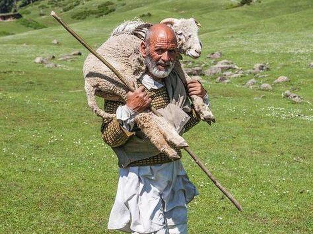 [AUDIO] Reflexión espiritual del jueves 5 de noviembre: Dios pierde la cabeza