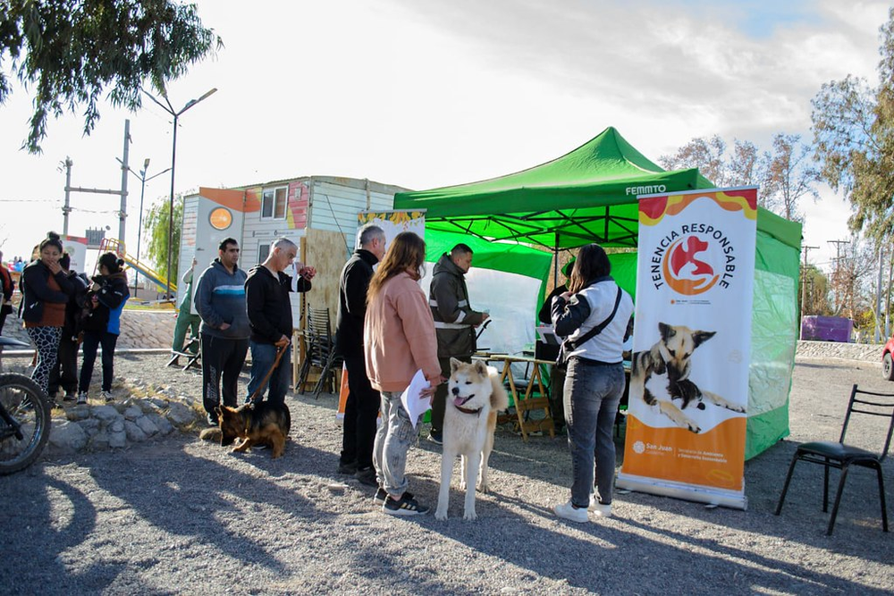 Tenencia responsable: veterinaria gratuita de mascotas en Caucete
