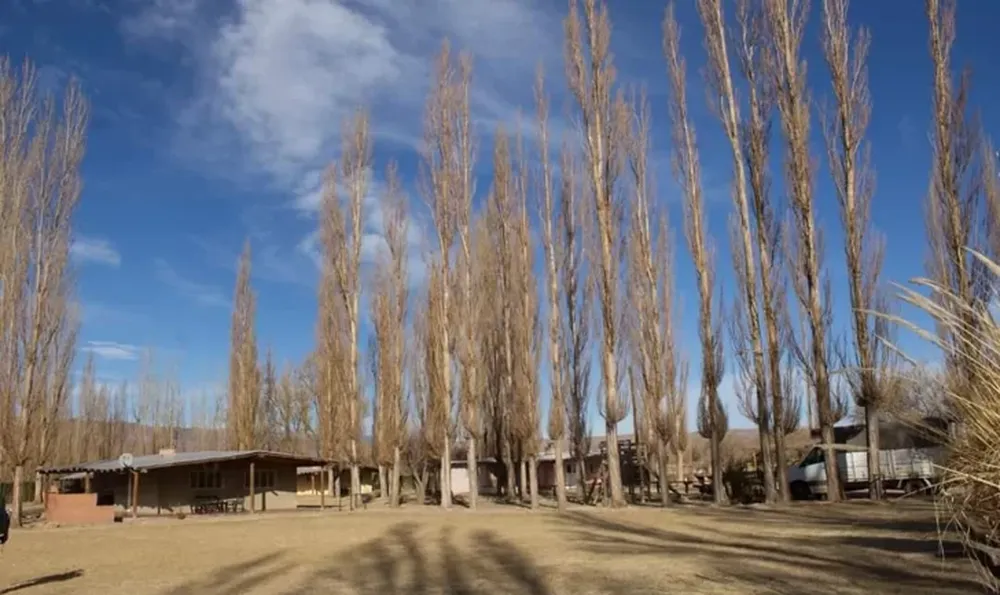 En la vuelta del turismo interno, agencias y Gobierno arman paquetes con promos