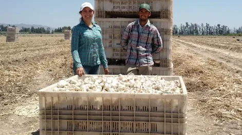 Propuesta para poder controlar situaciones de estrés en cultivos