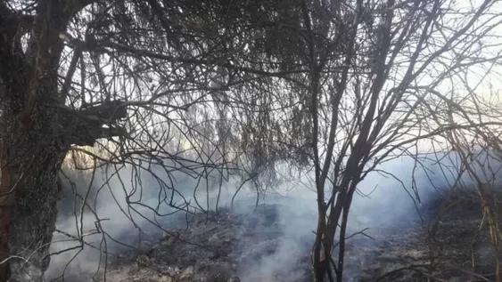 Un cortocircuito ocasionó un incendio que destruyó la habitación de una casa