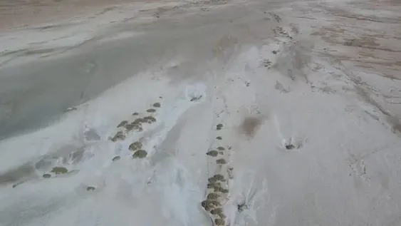 Buscan litio en otra zona de San Juan y los primeros indicios son promisorios