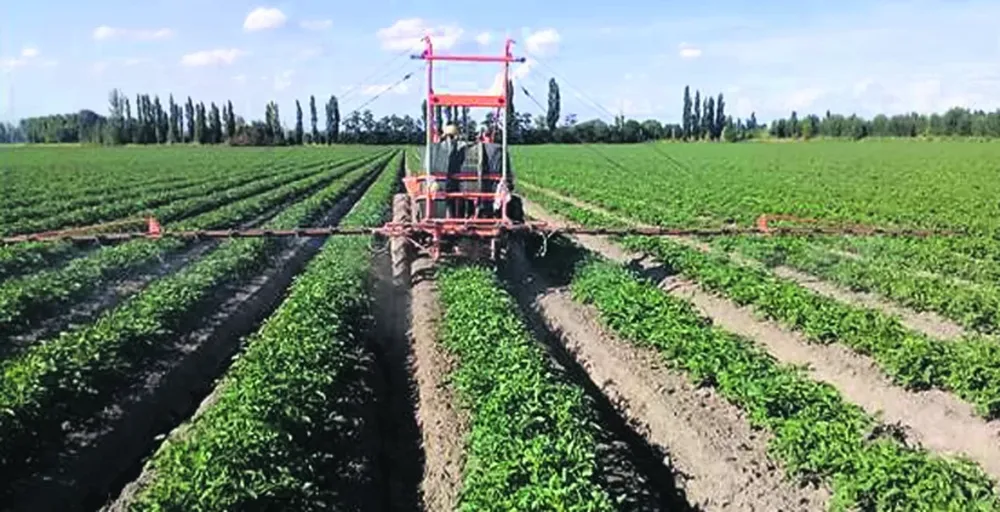 Insecticidas, coadyuvantes… productos y recomendaciones
