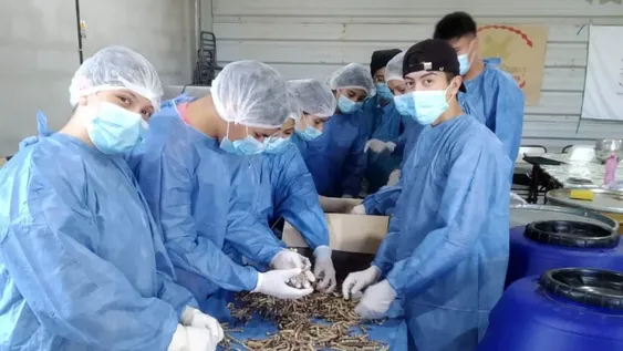 Alumnos elaboraron una infusión a base de vainas de algarroba que ya está a la venta